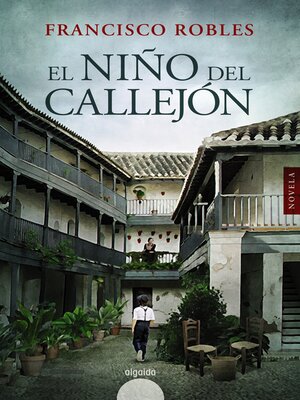 cover image of El niño del callejón